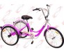 6-Speed SHIMANO Shifter 24" 3-Wheel Adult Tricycle Bicycle Trike Cruise Bike/Rossie